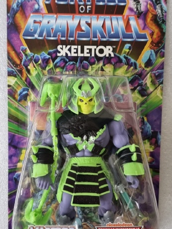 Skeletor Turtles of Grayskull